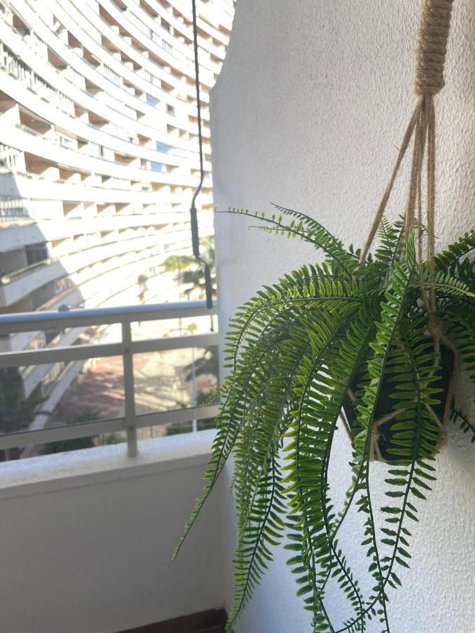 Vive El Mediterraneo - Apartamento Con Piscina En Cullera Exteriér fotografie